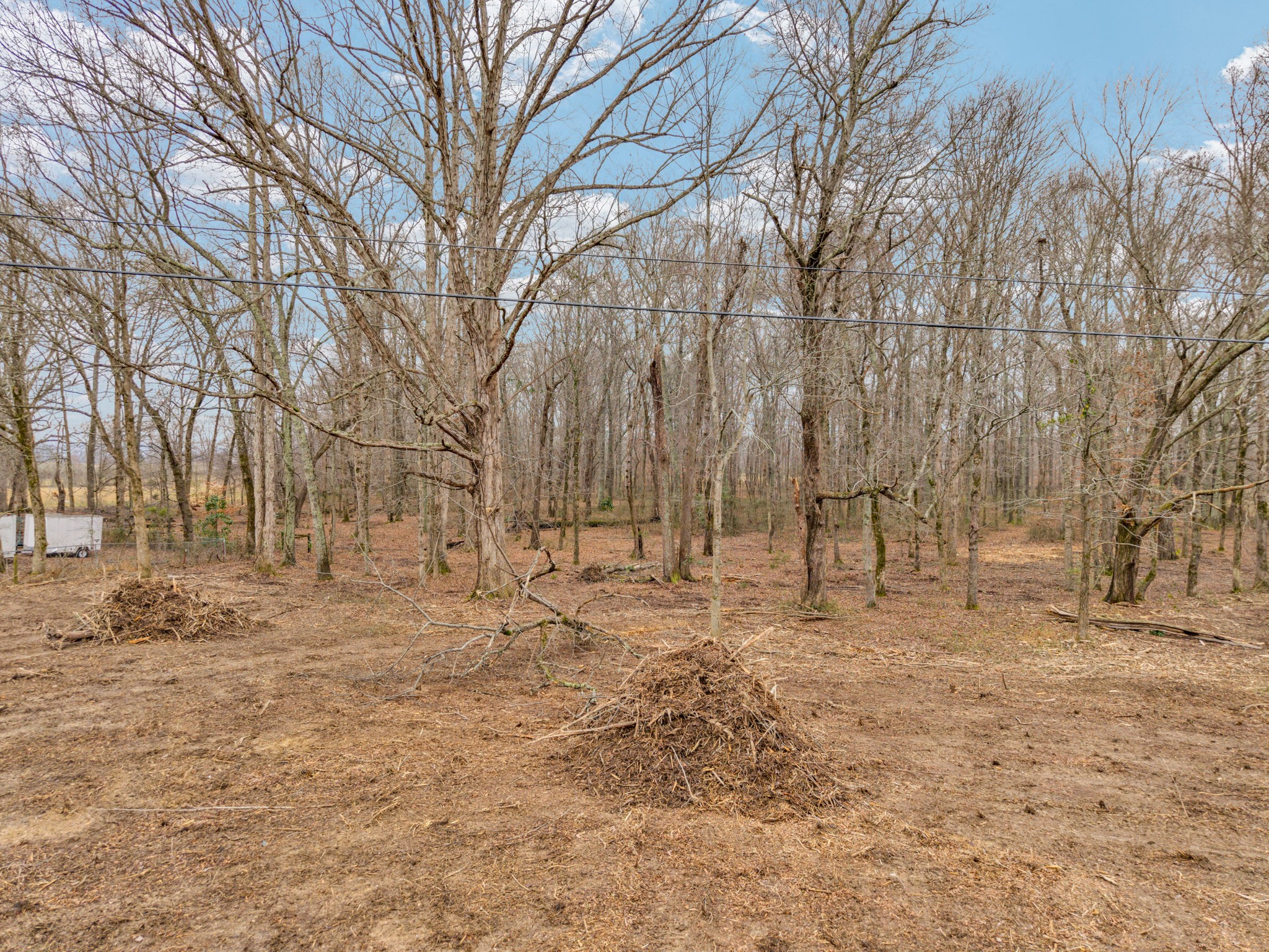 1295 3 Island Road Walling, TN 38587 - Photo 4 of 13 a backyard of a house with large trees