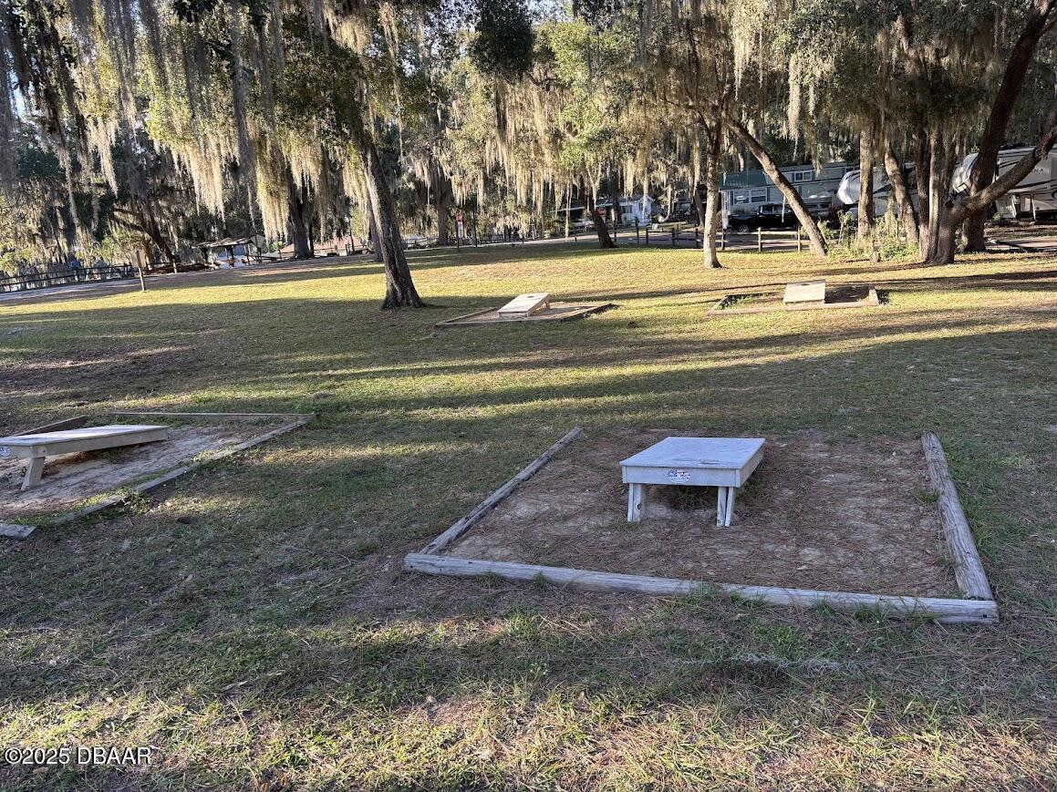 25146 Northeast 140th Loop Salt Springs, FL 32134 - Photo 14 of 46 a view of a swimming pool with a yard and large trees