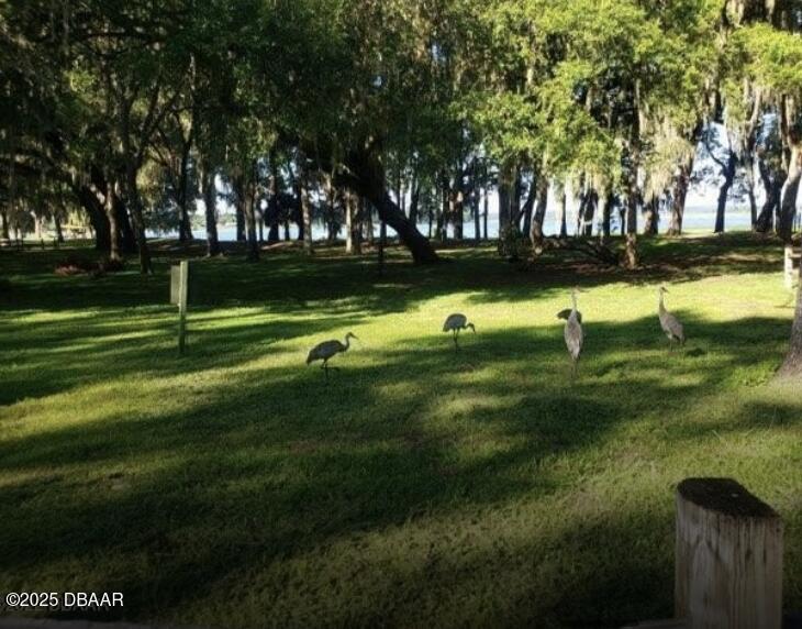 25146 Northeast 140th Loop Salt Springs, FL 32134 - Photo 41 of 46 a view of a park