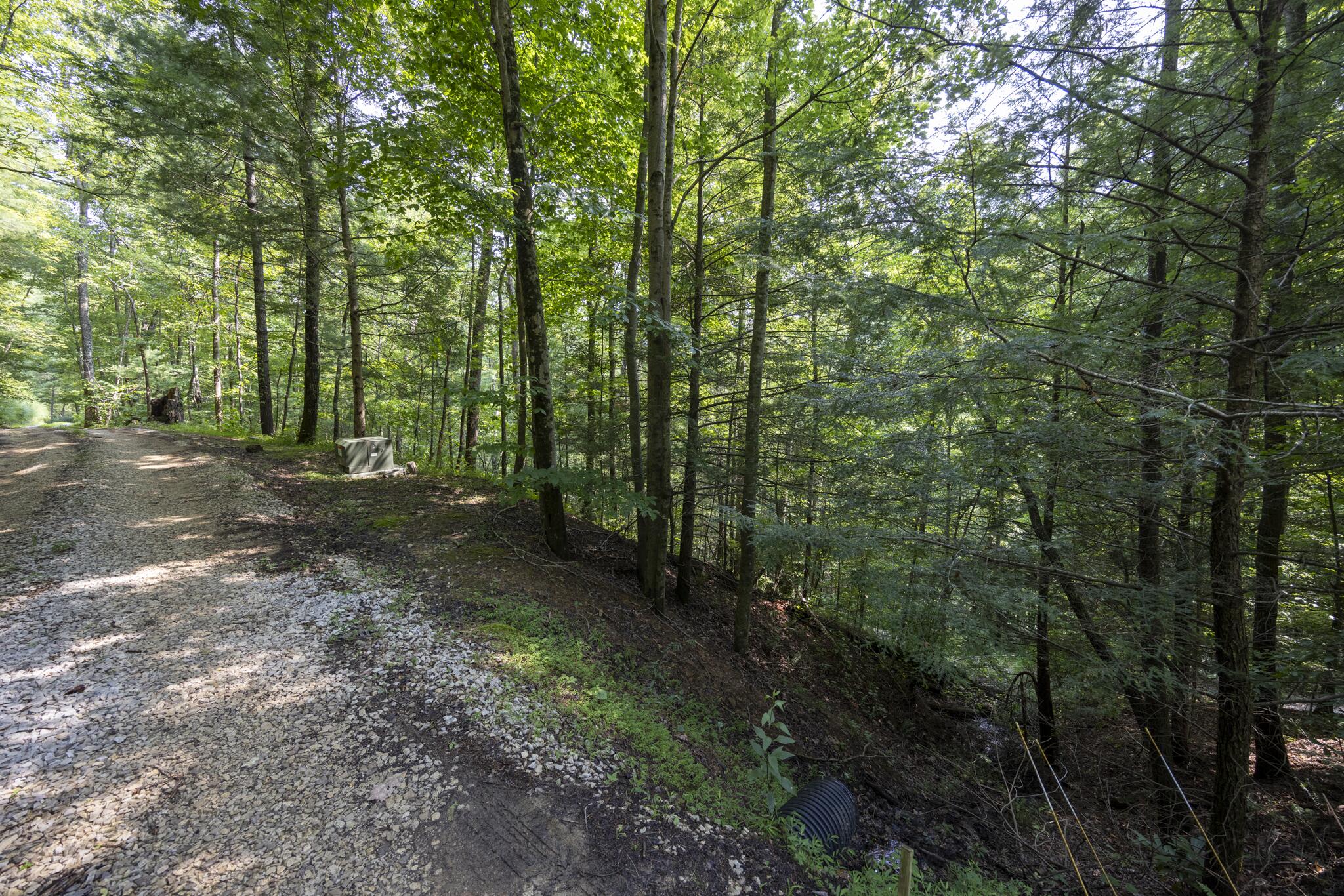 Lot 2 Cave Hollow Road Zoe, KY 41397 - Photo 28 of 29 Appalachian Media-28