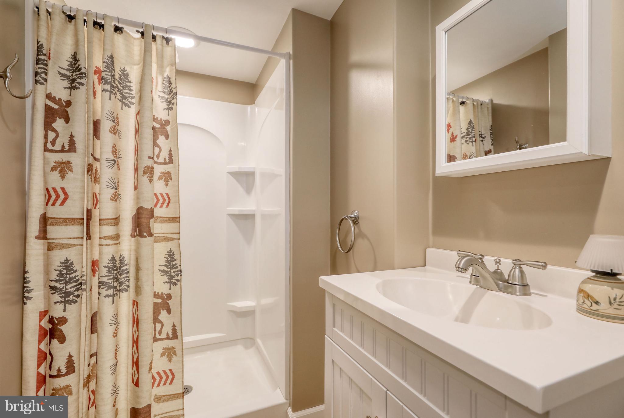 1636 Prospect Ridge Boulevard Haddon Heights, NJ 08035 - Photo 27 of 47 Lower Level Full Bath - Stall Shower