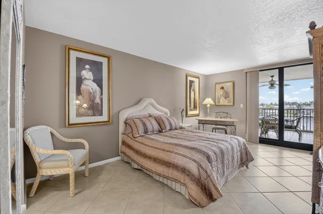 a view of a backyard with plants and a patio