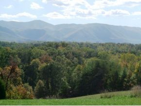 1120 Keller Road Afton, TN 37616 - Photo 20 of 23 Mountain Views