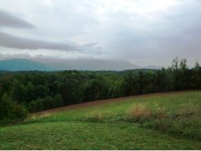 1120 Keller Road Afton, TN 37616 - Photo 23 of 23 Yard View