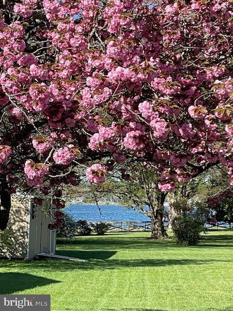 14382 Sedwick Avenue Solomons, MD 20688 - Photo 9 of 90 Spring views of cherry blossoms, Patuxent River