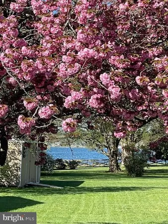 a front view of a house with yard and outdoor seating