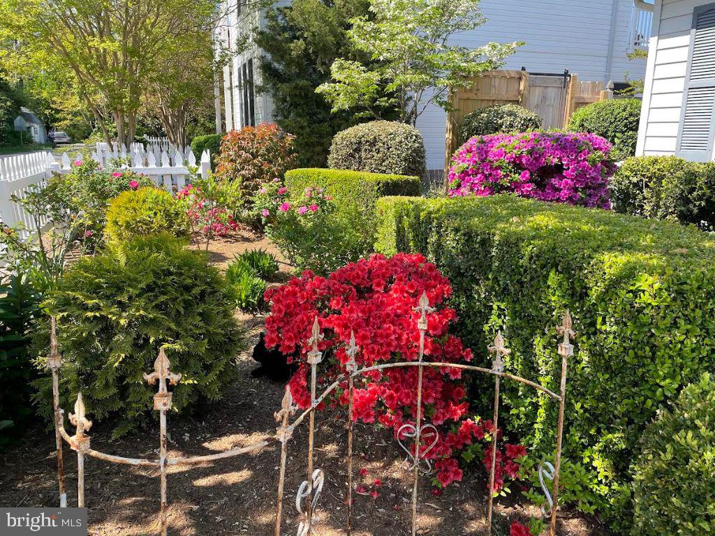 14382 Sedwick Avenue Solomons, MD 20688 - Photo 10 of 90 Pictures from spring with flowers blooming