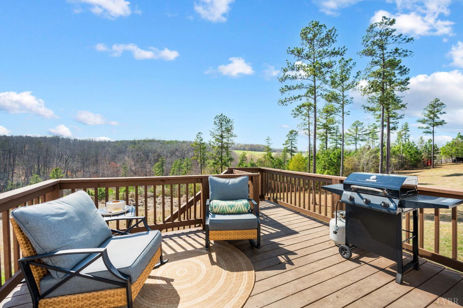 401 Reedy Spring Road Spout Spring, VA 24593 - Photo 25 of 31