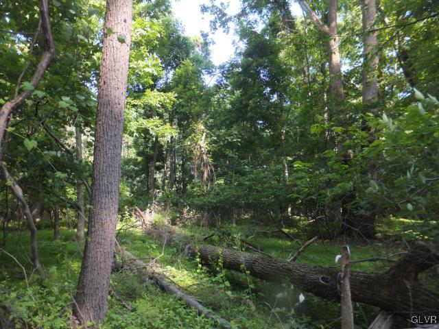 Turkey Ridge Road Mount Bethel, PA 18343 - Photo 1 of 6 a view of a forest with trees