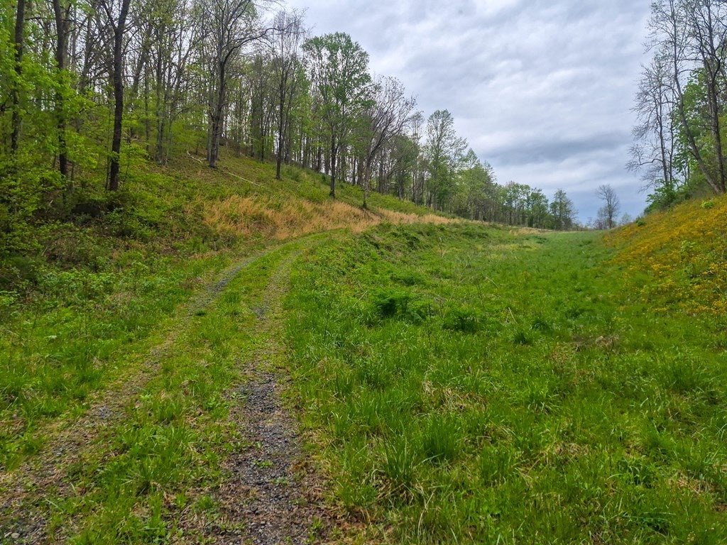 2789 Dry Fork Road, Unit 10 Bandy, VA 24602 - Photo 27 of 59 Gallery Image 27