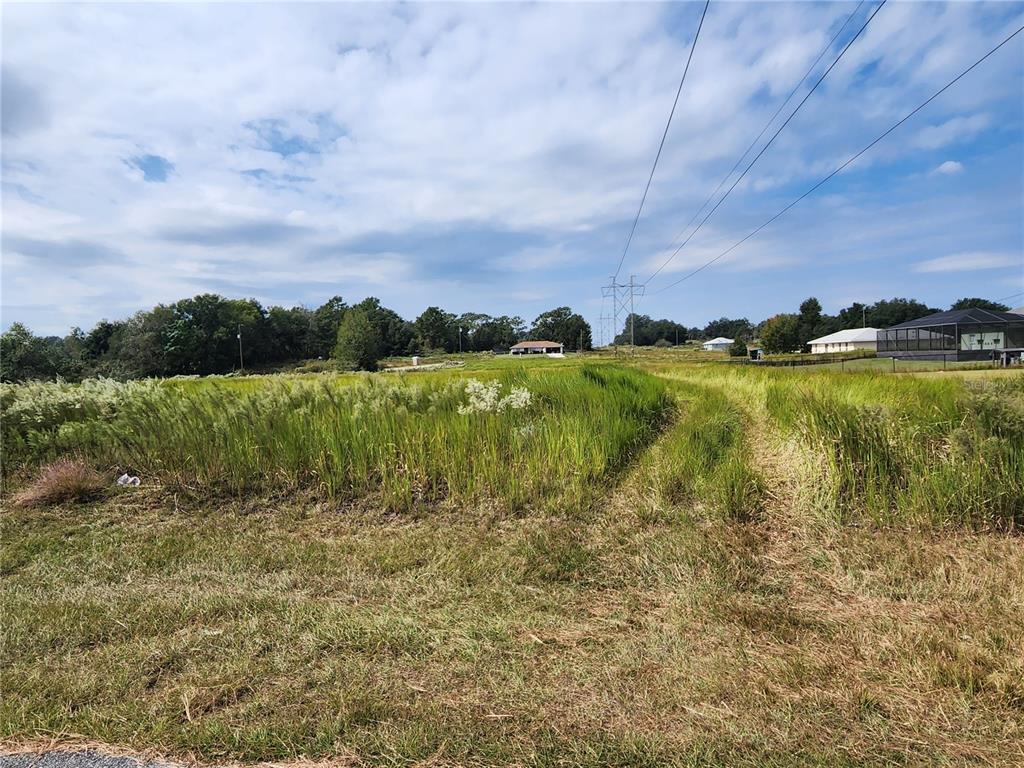0 Locust Trace Ocala, FL 34472 - Photo 1 of 1 Gallery Image 1
