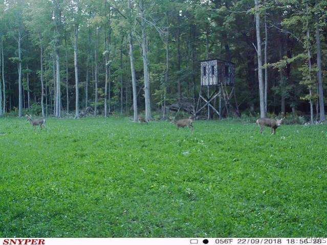 East Lee Road Albion, NY 14411 - Photo 20 of 20 Gallery Image 20