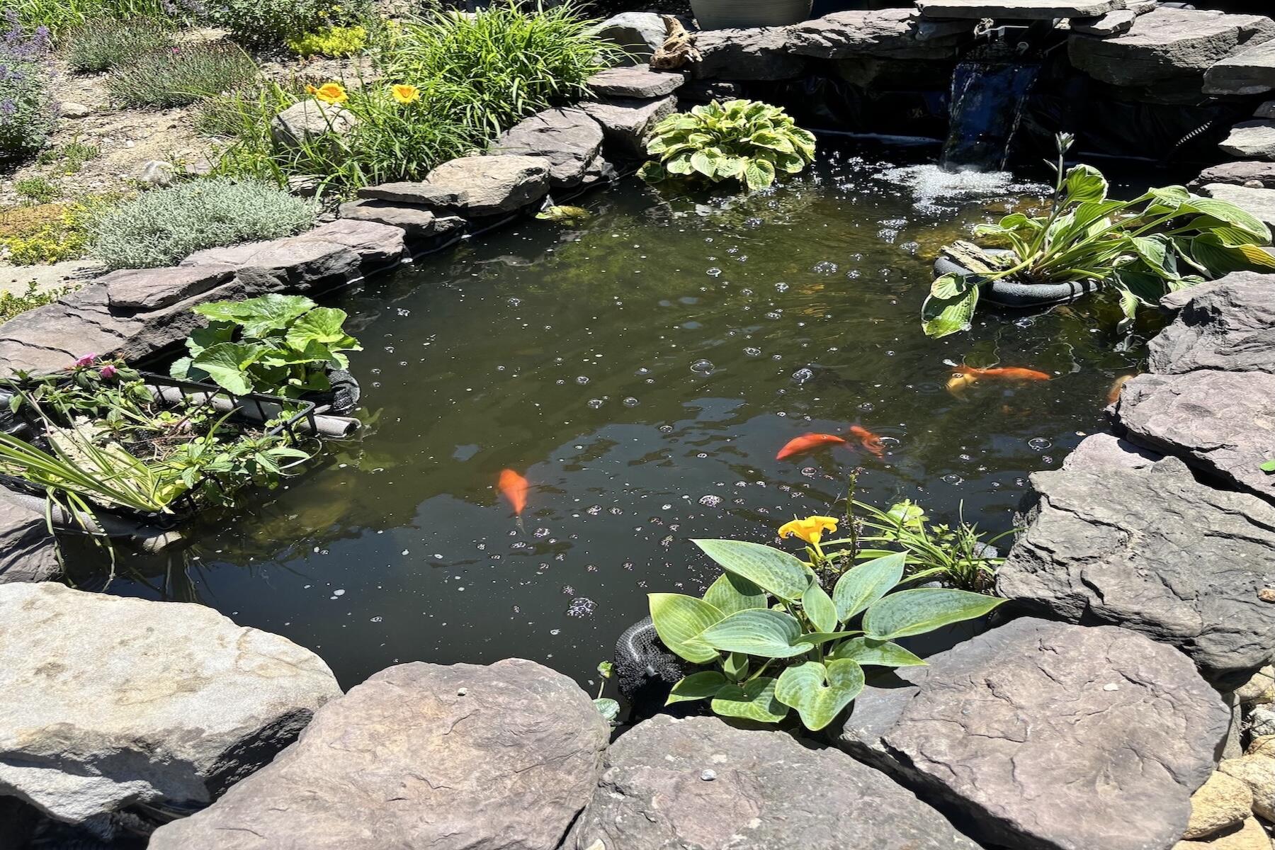 139 Fuller Road Centerville, MA 02632 - Photo 25 of 31 Gold Fish Pond