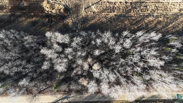 $19,900 | Parcel B Parcel B Parameter Road, Deer River, MN 56636