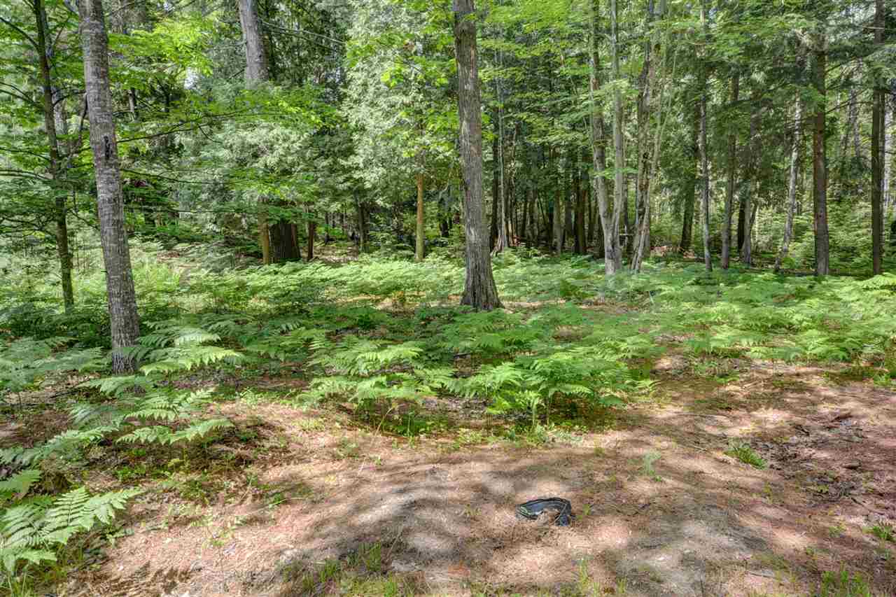 491 Fisher Road Traverse City, MI 49685 - Photo 37 of 43 1833746-36.JPG