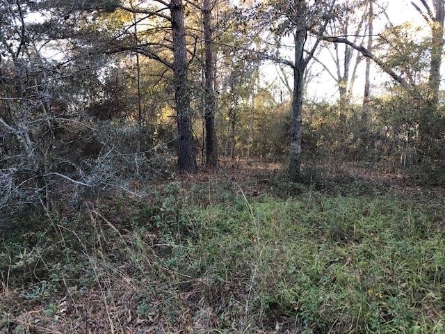 6-ac Adams Pond Road Opp, AL 36467 - Photo 14 of 20 Gallery Image 14