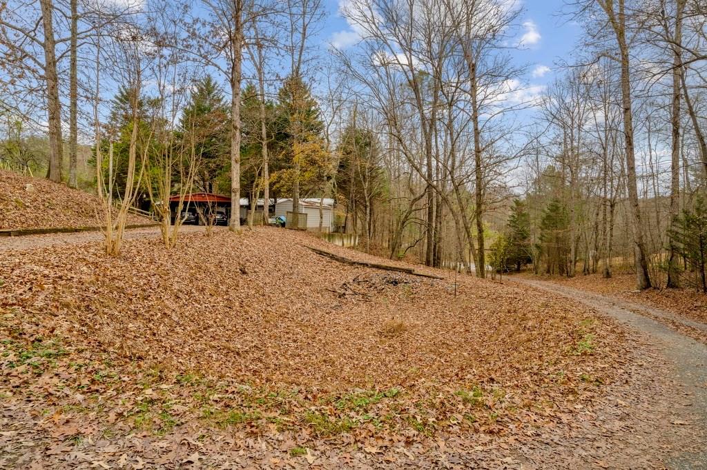 150 Curtis Switch Road Blue Ridge, GA 30513 - Photo 1 of 37 a view of a yard with trees