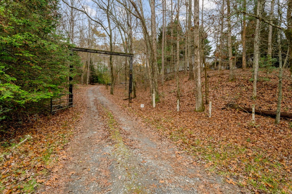 150 Curtis Switch Road Blue Ridge, GA 30513 - Photo 2 of 37 a view of a pathway with a backyard