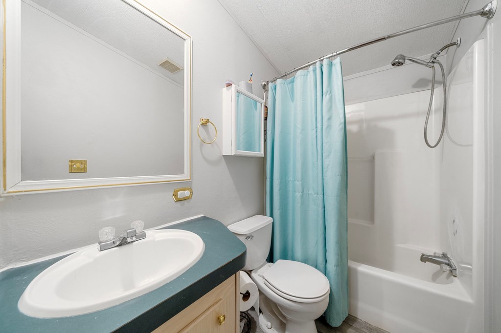 150 Curtis Switch Road Blue Ridge, GA 30513 - Photo 26 of 37 a bathroom with a sink toilet and shower
