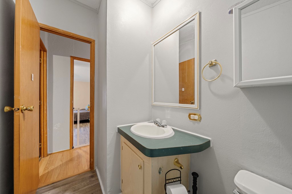 150 Curtis Switch Road Blue Ridge, GA 30513 - Photo 27 of 37 a bathroom with a sink toilet and vanity