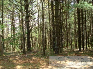 Lot 3 Moon Ridge Road Crumpler, NC 28617 - Photo 1 of 1 Gallery Image 1