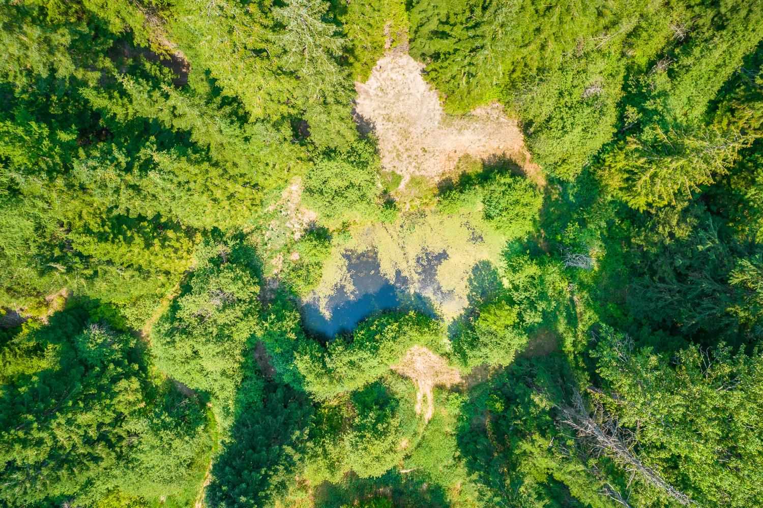 15426 East Nelson Road Elk, WA 99009 - Photo 47 of 48