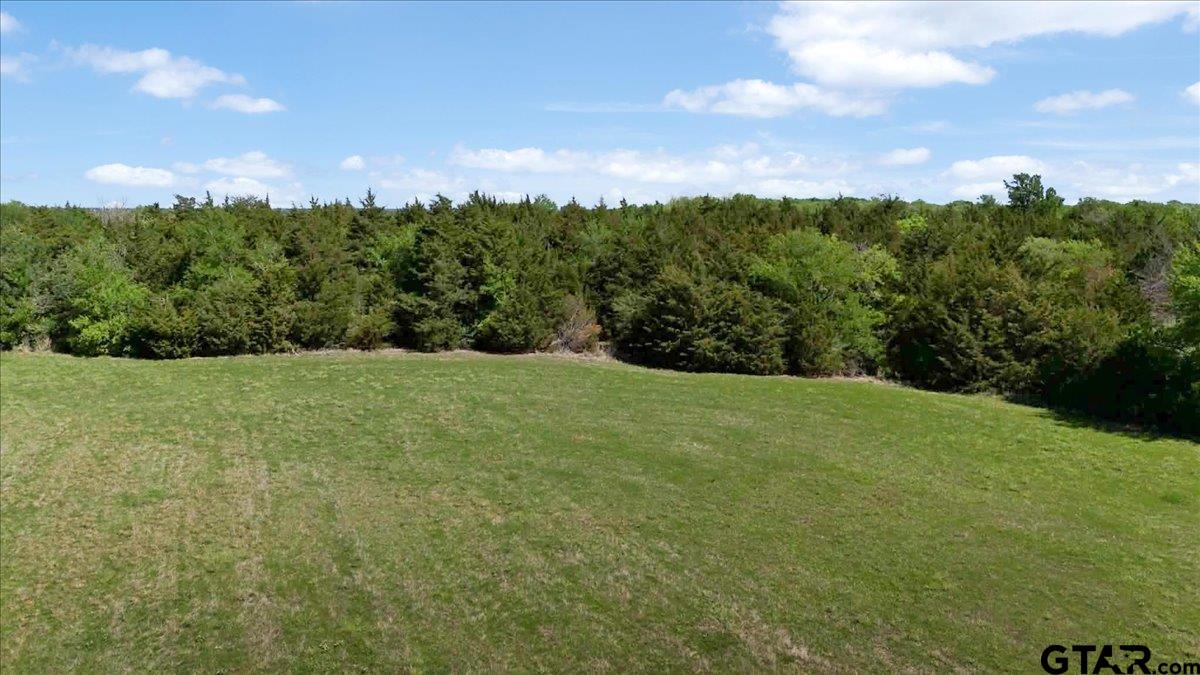 4511 County Road 4511 Commerce, TX 75428 - Photo 11 of 20 a view of a field with an trees in the background