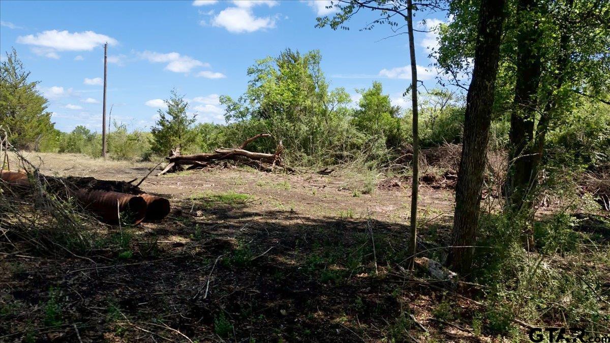 4511 County Road 4511 Commerce, TX 75428 - Photo 12 of 20 a view of a yard with plants