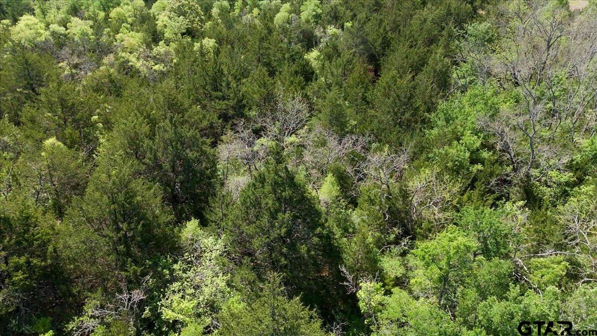4511 County Road 4511 Commerce, TX 75428 - Photo 14 of 20