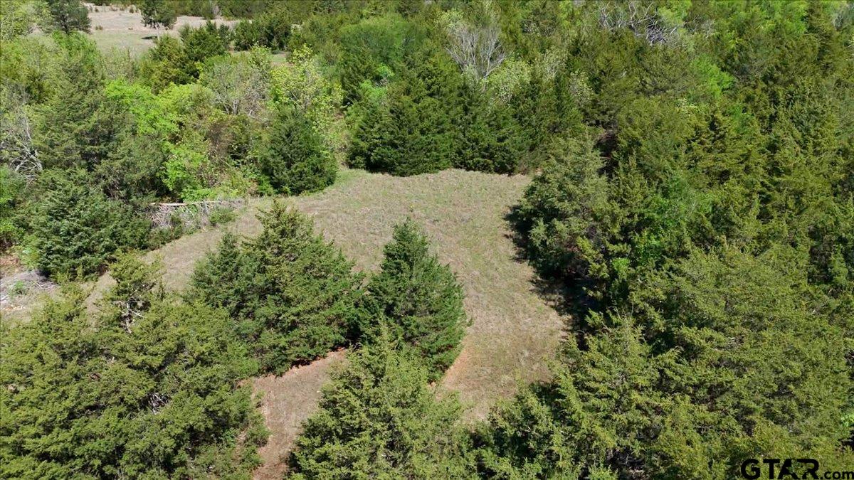 4511 County Road 4511 Commerce, TX 75428 - Photo 15 of 20 a view of a forest with a house