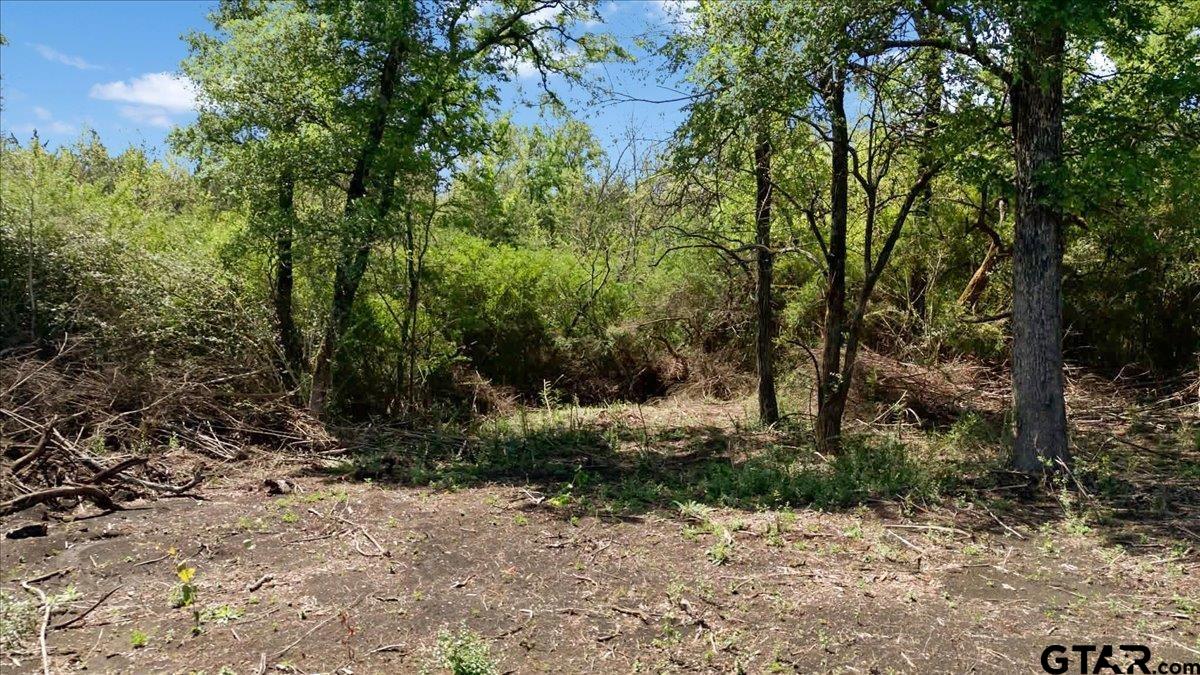4511 County Road 4511 Commerce, TX 75428 - Photo 17 of 20 a view of outdoor space and yard