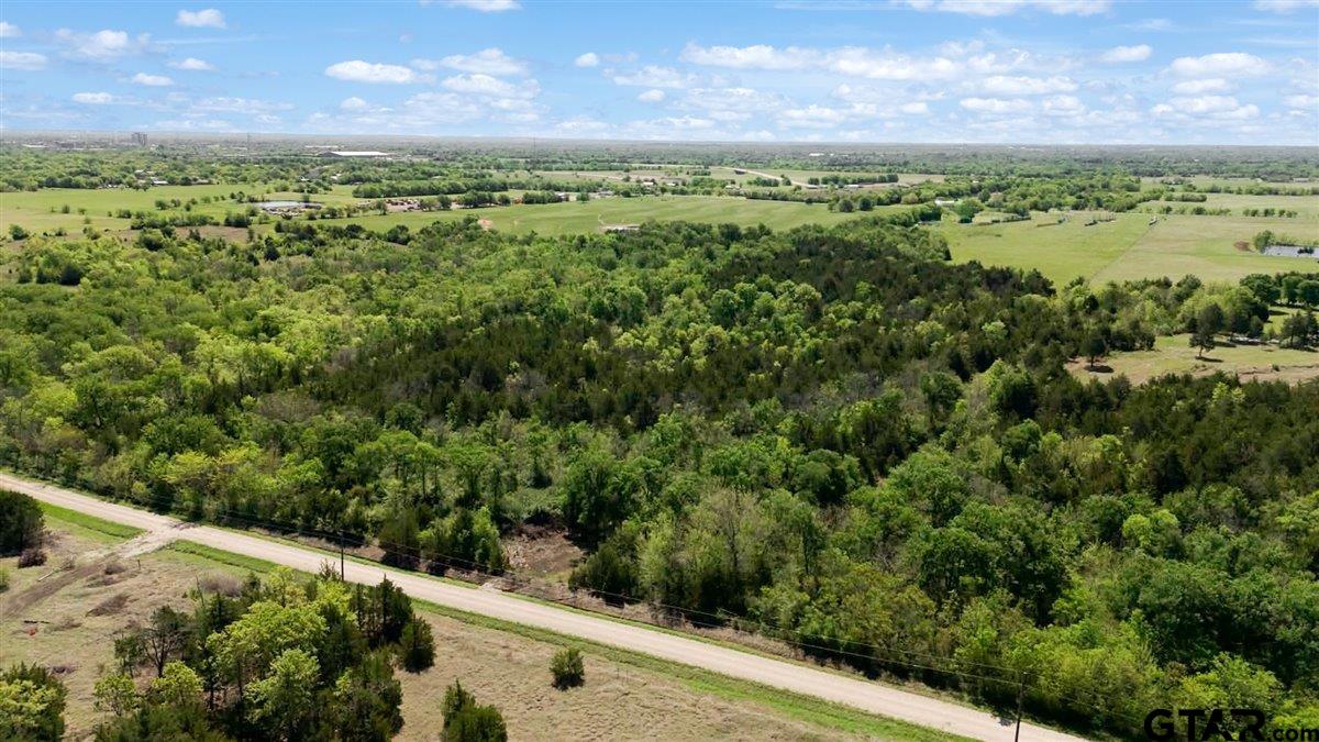 4511 County Road 4511 Commerce, TX 75428 - Photo 19 of 20 a view of a lush green forest with lots of trees