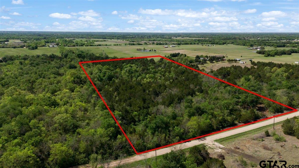 4511 County Road 4511 Commerce, TX 75428 - Photo 2 of 20 a view of a lush green field