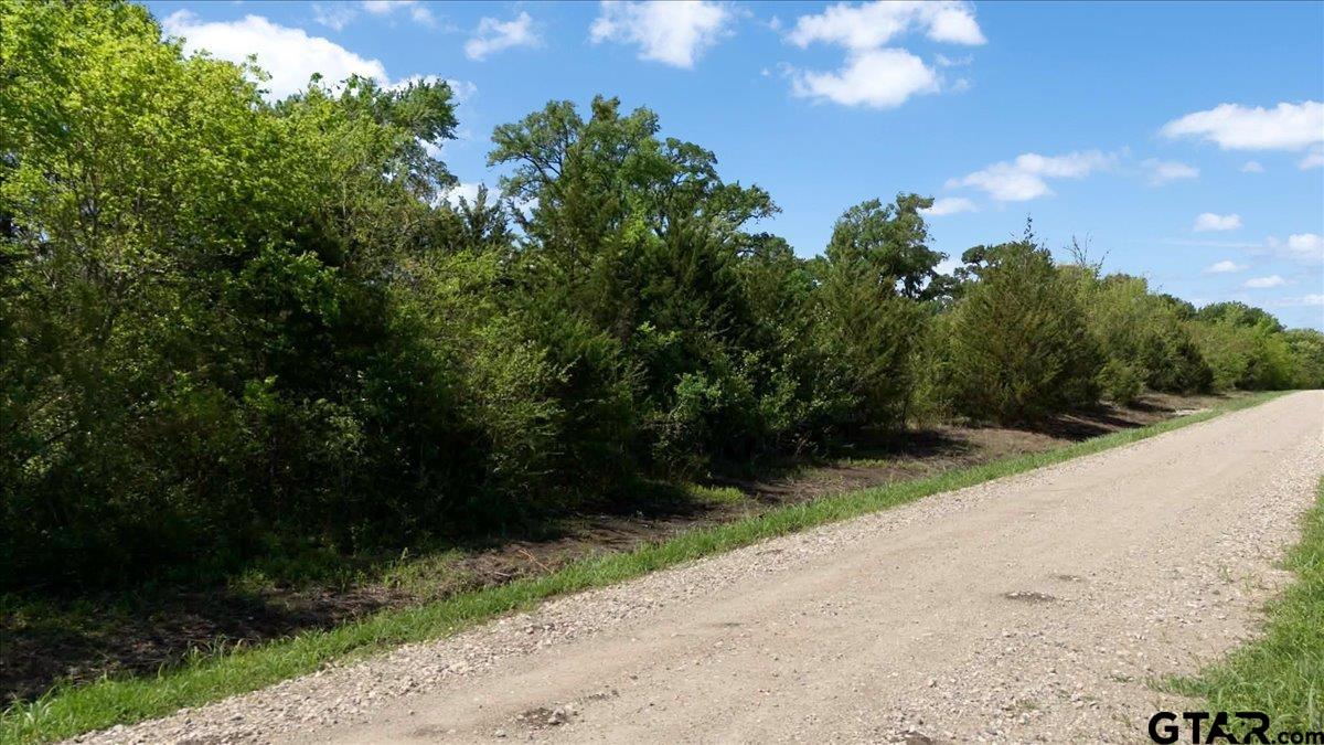 4511 County Road 4511 Commerce, TX 75428 - Photo 3 of 20 a view of a road with a yard