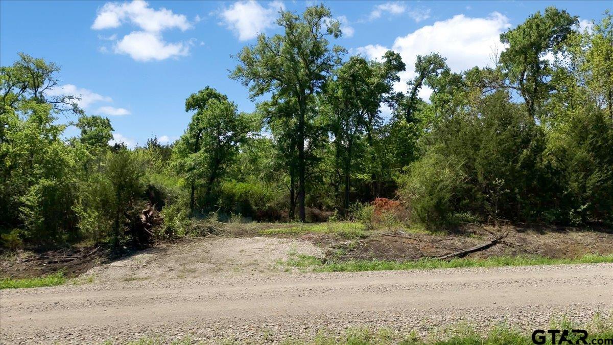 4511 County Road 4511 Commerce, TX 75428 - Photo 4 of 20 a view of a yard with plants and trees