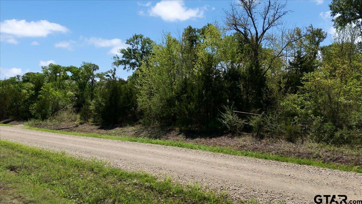 4511 County Road 4511 Commerce, TX 75428 - Photo 5 of 20 a view of a yard with plants and a trees
