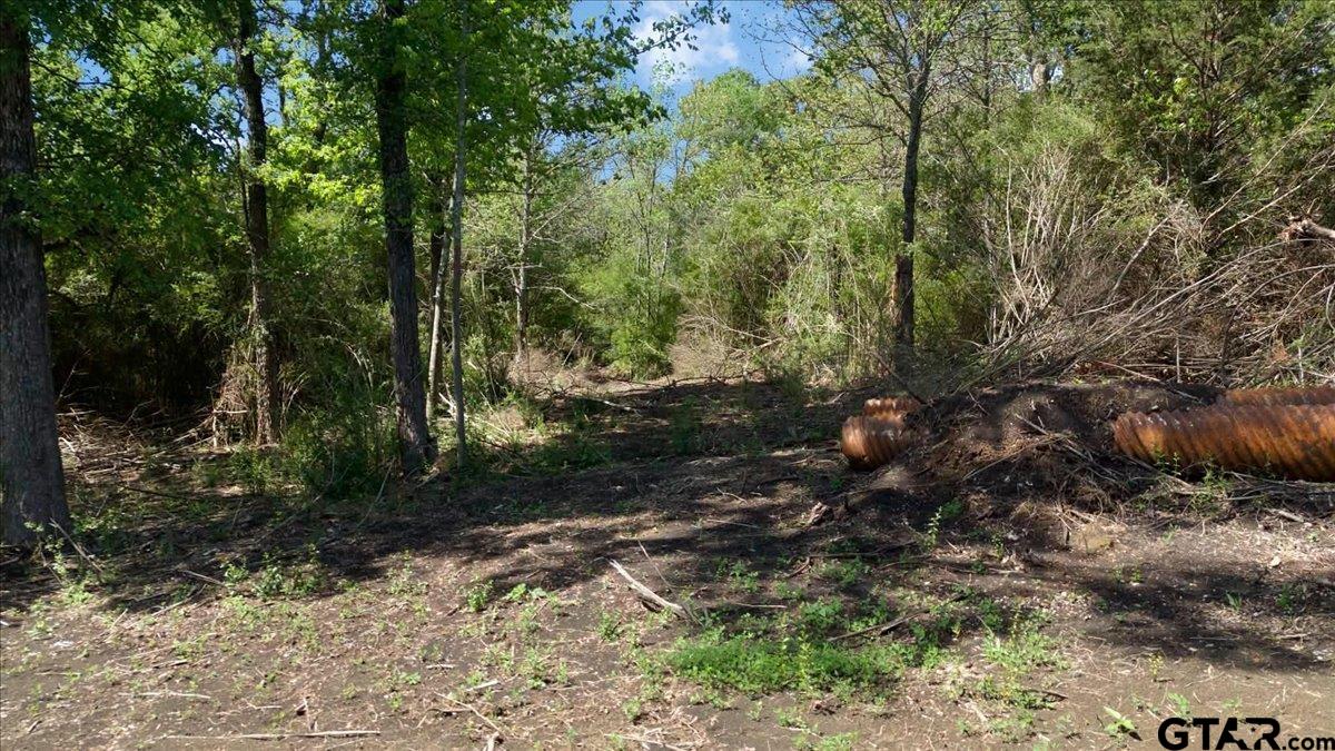 4511 County Road 4511 Commerce, TX 75428 - Photo 6 of 20 a backyard of a house with lots of green space