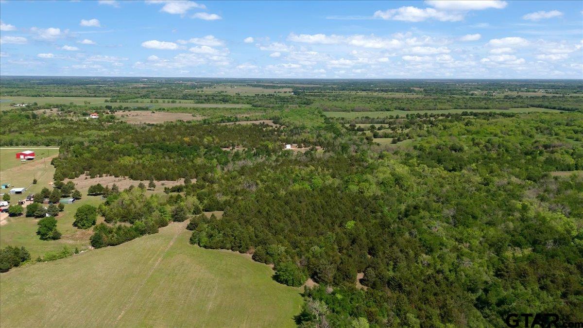 4511 County Road 4511 Commerce, TX 75428 - Photo 8 of 20 a view of a city