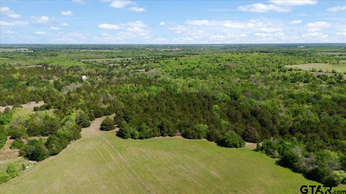 4511 County Road 4511 Commerce, TX 75428 - Photo 10 of 20 a view of a lush green outdoor space with a lake in the background