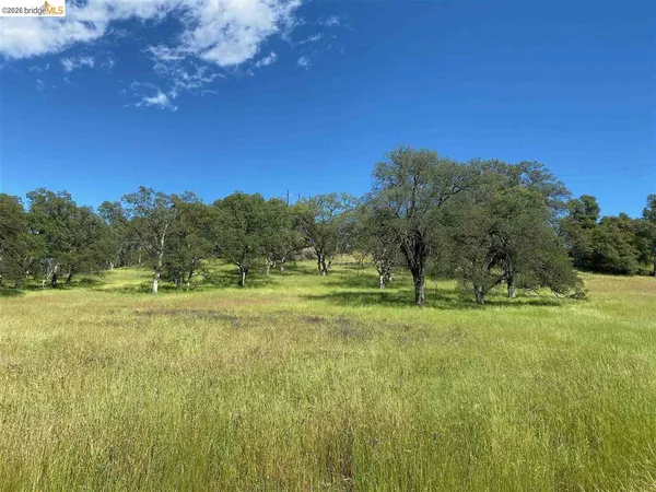 a view of a golf course with green space
