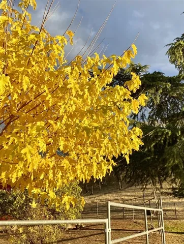 a view of mountain with lake view
