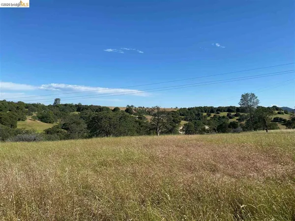 a view of a yard