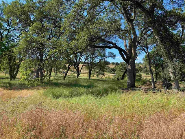 $1,950,000 | 15653 Highway 108, Jamestown, CA 95327