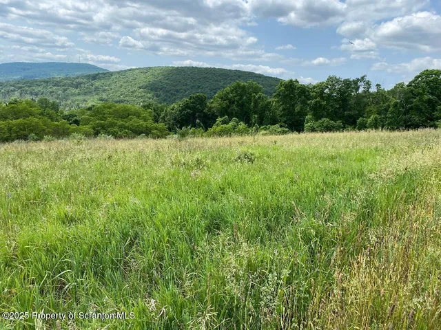 a view of a green field with lots of green space