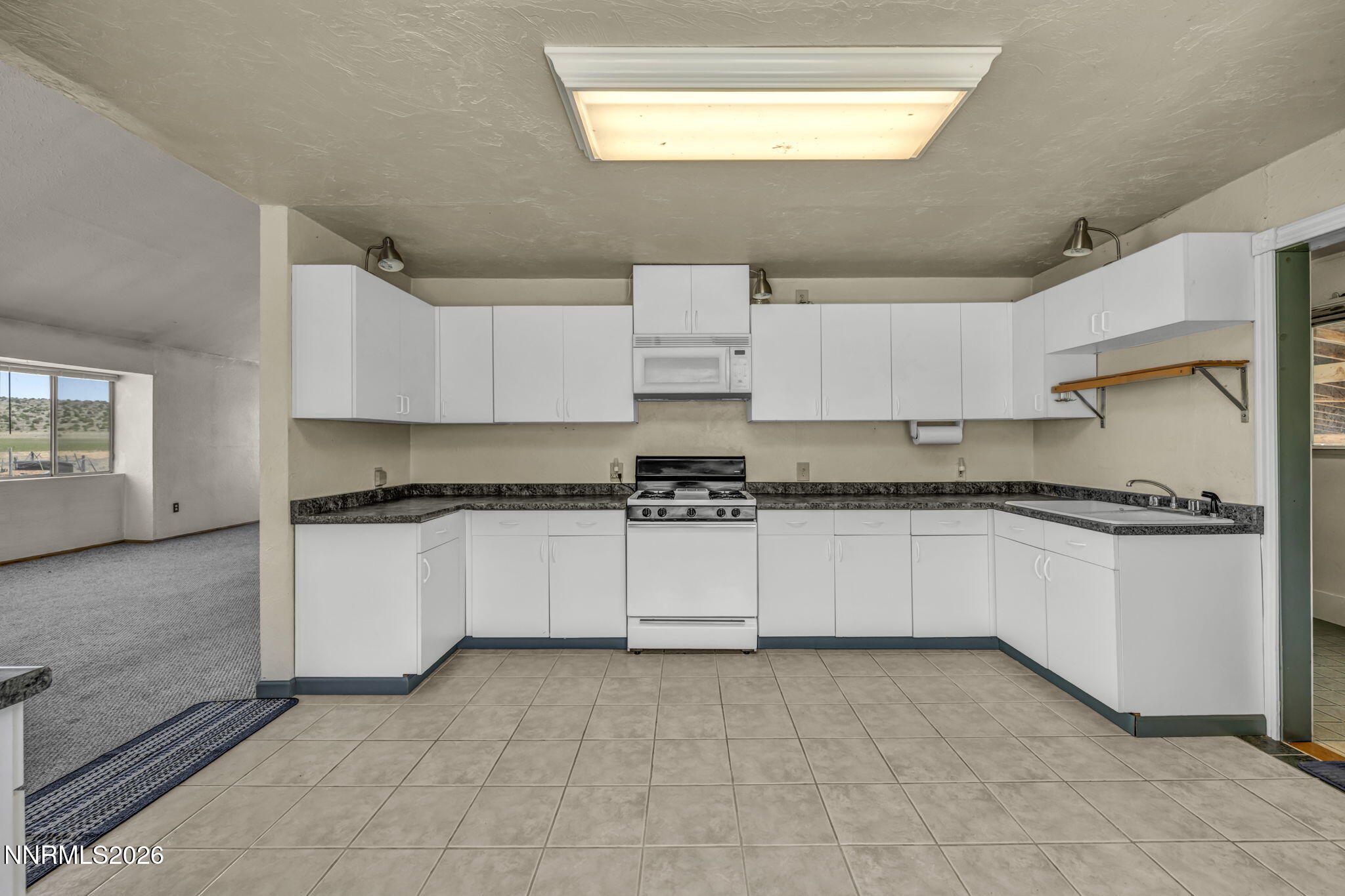 3490 Dry Lake Circle Reno, NV 89521 - Photo 65 of 89 70-web-or-mls-3490-dry-lake-cir