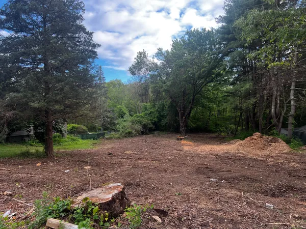 a view of a yard with a tree