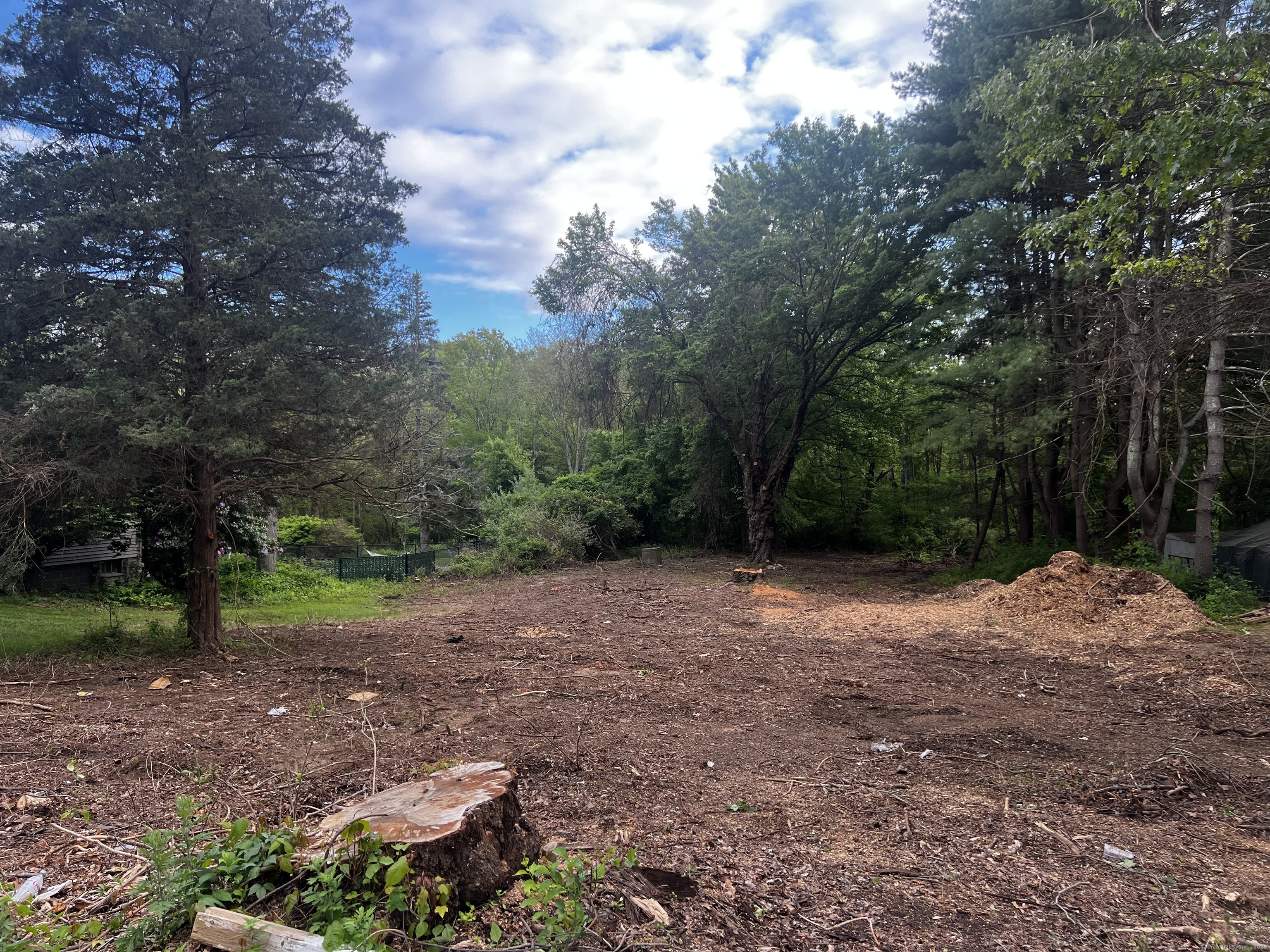 a view of a yard with a tree
