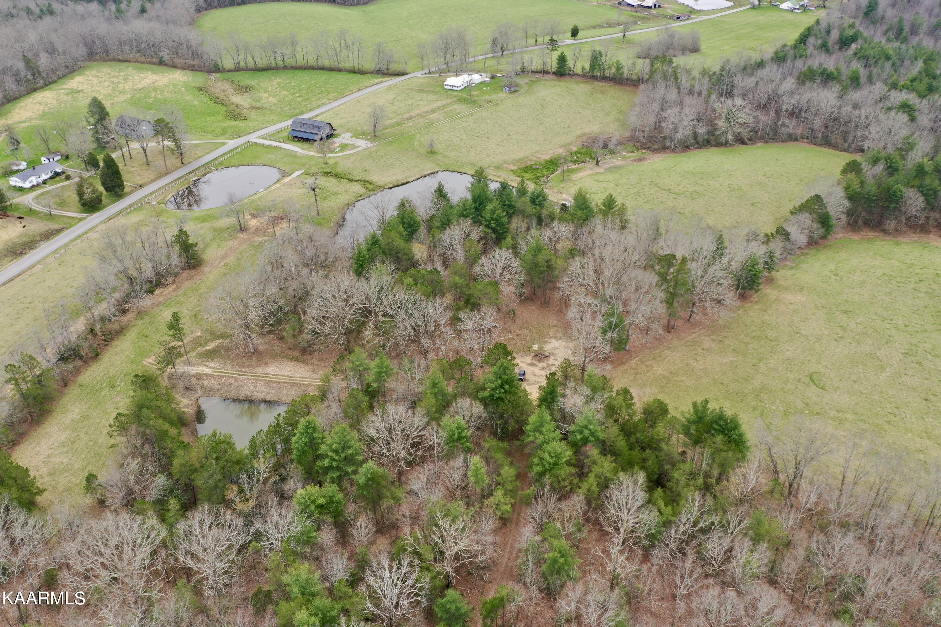 237 Rome Road Lancing, TN 37770 - Photo 11 of 59 8