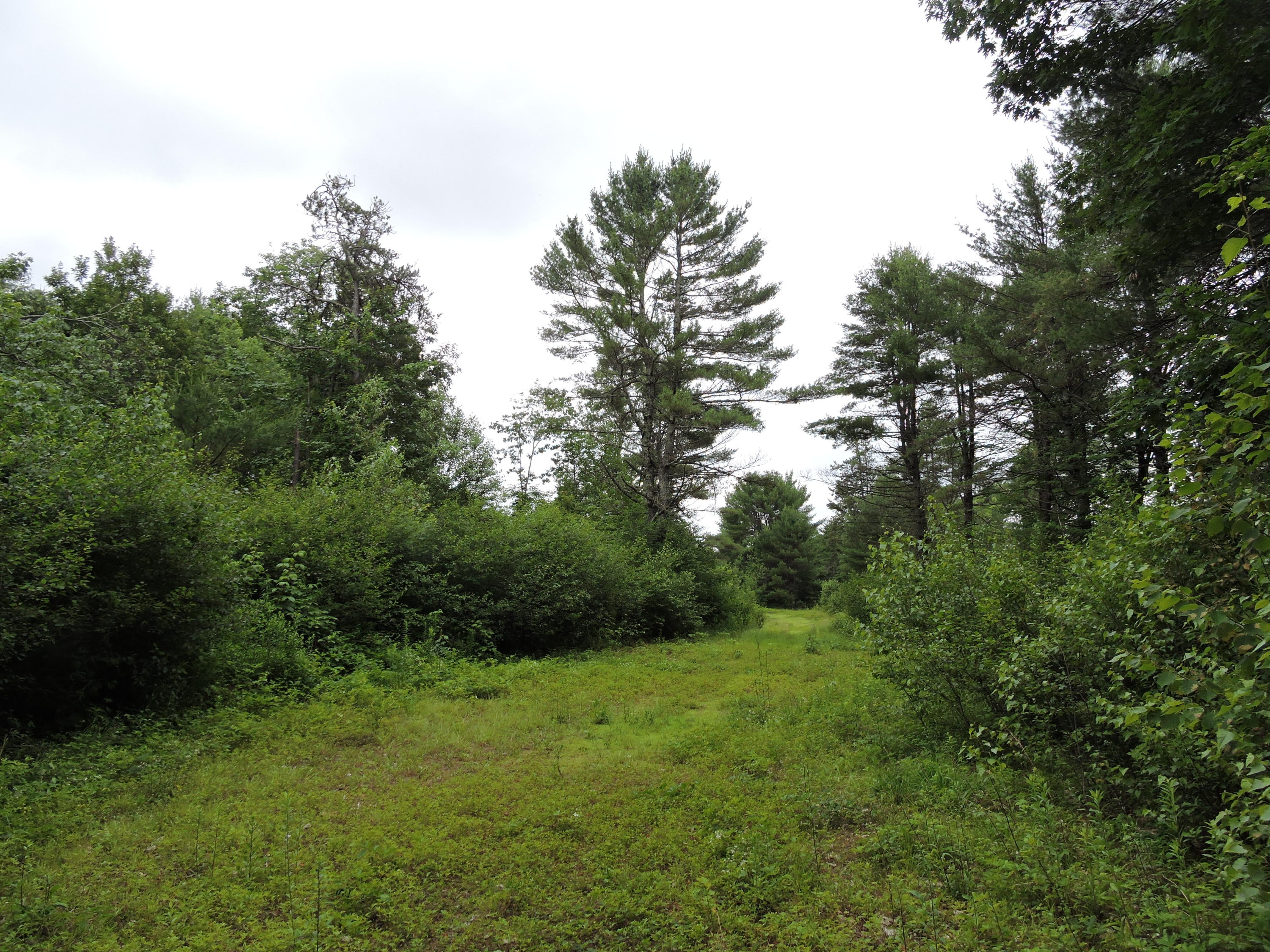 0 Tuttle Road Pownal, ME 04069 - Photo 4 of 8 DSCN5591