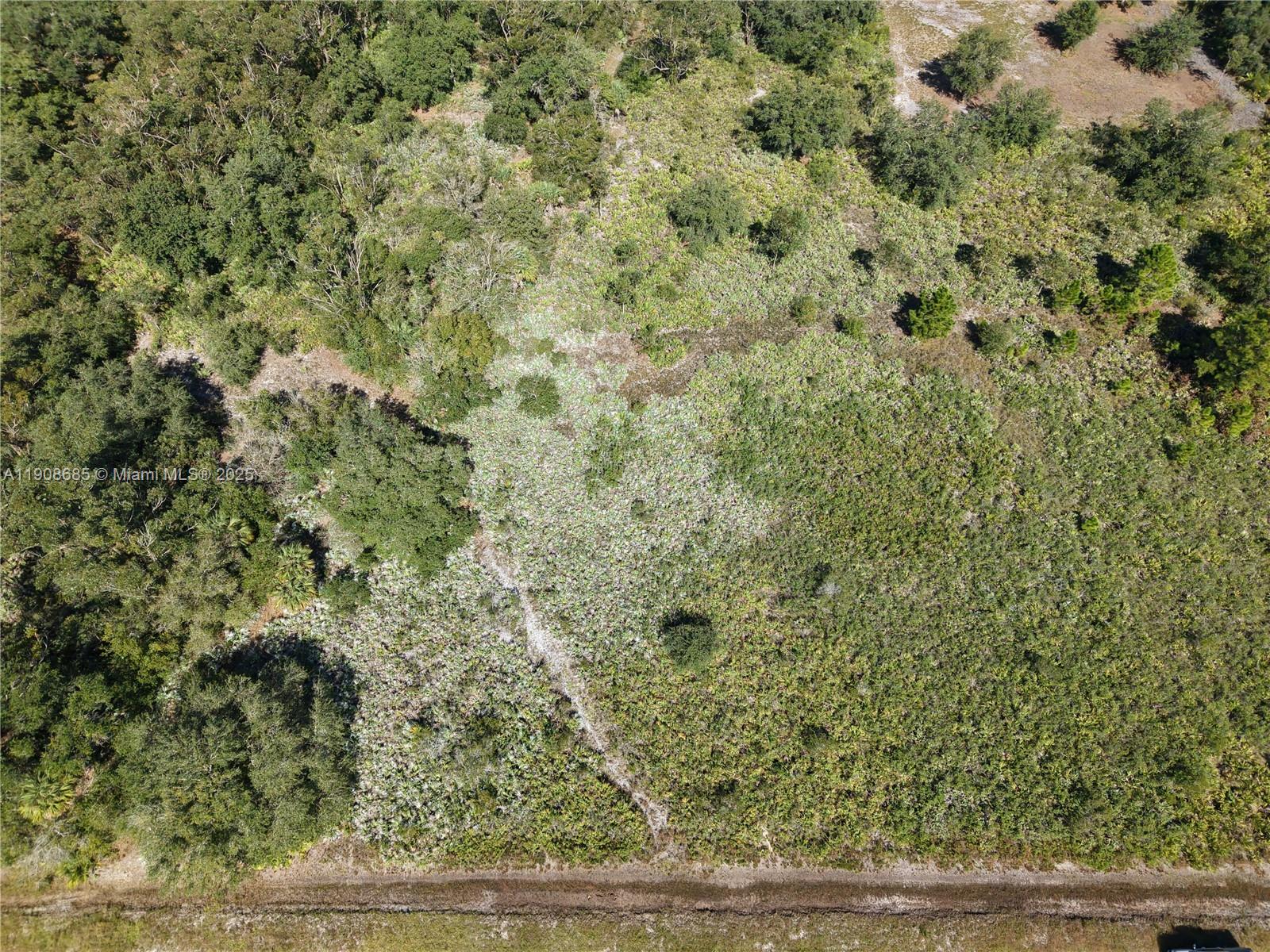 15527 Northwest 252nd Street Okeechobee, FL 34972 - Photo 1 of 32 a view of a dry yard with wooden floor